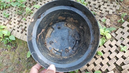 Black plastic flower pot used for planting.