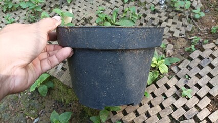 Black plastic flower pot used for planting.