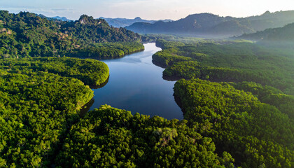 A beautiful view of a calm river winding through a dense, tropical landscape.