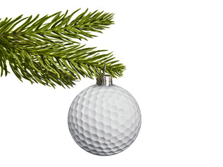 Golf ball hanging from a fir tree branch isolated on white or transparent background, gift for a...
