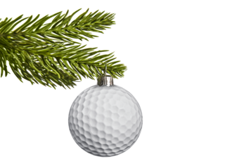 Golf ball hanging from a fir tree branch isolated on white or transparent background, gift for a golfer, Golf club Christmas celebration, png cut out