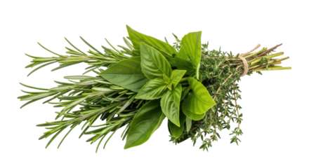 Bunch of fresh herbs tied together transparent background cutout png