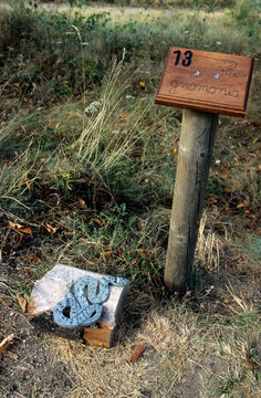 012375 VIPERE ASPIC.jpg