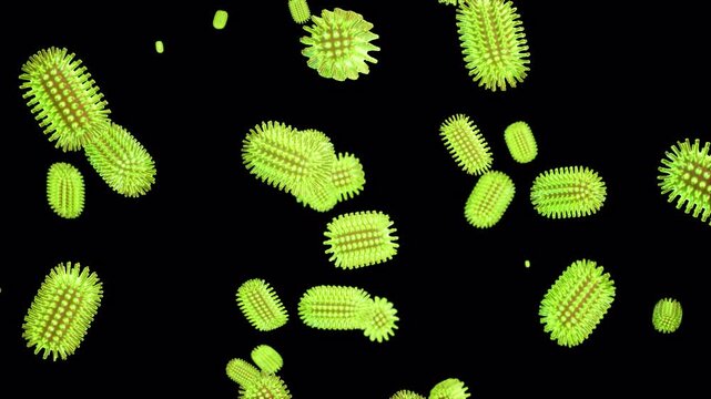 Rabies Lyssavirus On Alpha