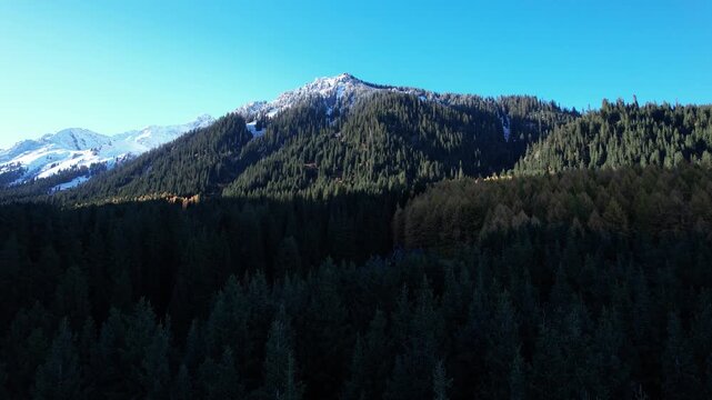 Stunning Aerial Views of Snow-Capped Mountains Surrounded by Lush Evergreen Forests Under a Clear Blue Sky at Twilight