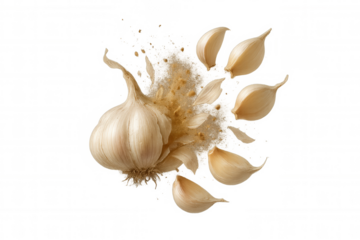 Garlic bulb exploding, cloves and powder scattering, healthy food ingredient on transparent background