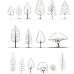 study, realistic sketch, detailed trees, park trees, different tree shapes, architectural trees, sketchbook art, line 