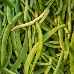 lecker Bohnen aus dem Garten