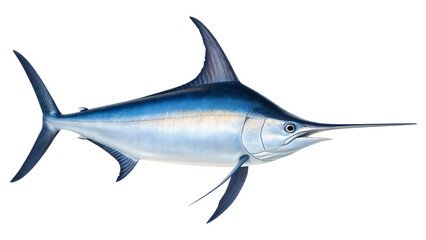 Naklejka premium Oceanic Grace: A majestic marlin showcases its streamlined form and iconic sword-like bill, exemplifying the allure of marine wildlife.