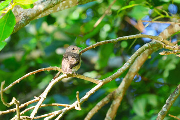 What are you doing, leave me alone?