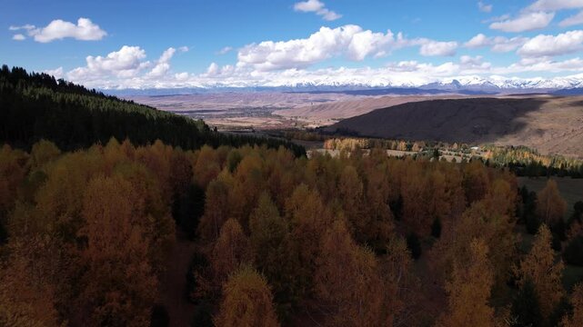 A Stunning Aerial View of Autumn Colors and Snow-Capped Mountains in a Breathtaking Landscape, Showcasing the Tranquility of Nature&rsquo;s Majesty.