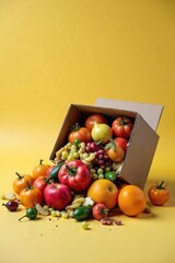 Overripe Fruit and Vegetables Overflowing from a Discarded Cardboard Box, Illustrating Food Waste and Environmental Impact
