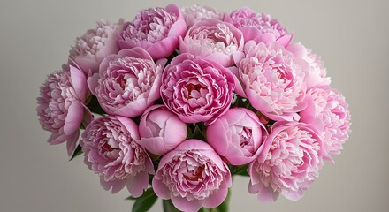 Close up of pink peony flowers arranged in a beautiful bouquet