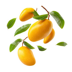 Fresh tropical mangoes falling mid air, showcasing their vibrant yellow color and smooth texture, surrounded by green leaves, creating lively and refreshing scene