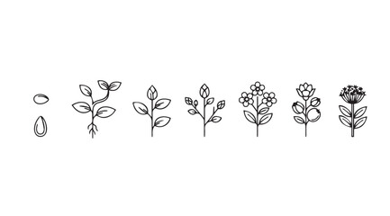 Collection of hand-drawn botanical elements decorative floral stems and leaves set vector