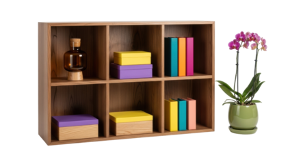 Isolated wooden shelves with decor items books boxes and potted orchid plant studio shoot
