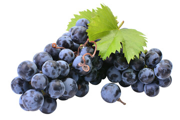 Bunch of grapes isolated on white background