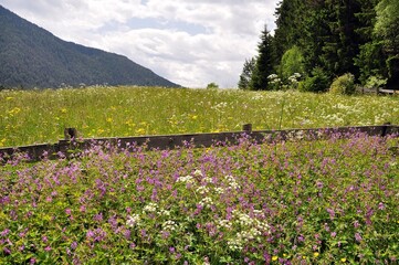 Seefeld in Östereich