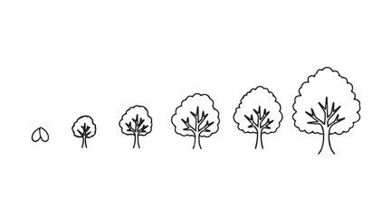 Stages of tree growth from seedling to mature tree illustrating development vector