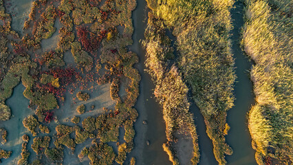 A beautiful drone shot of a wetland at sunset with long shadows creating a striped pattern across...