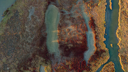A top down shot of a tranquil marsh with calm water reflecting the sky and patches of golden reeds and dark vegetation creating a peaceful and symmetrical natural abstract