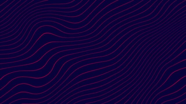 Abstract dark blue and red lines flowing seamlessly in digital animated motion