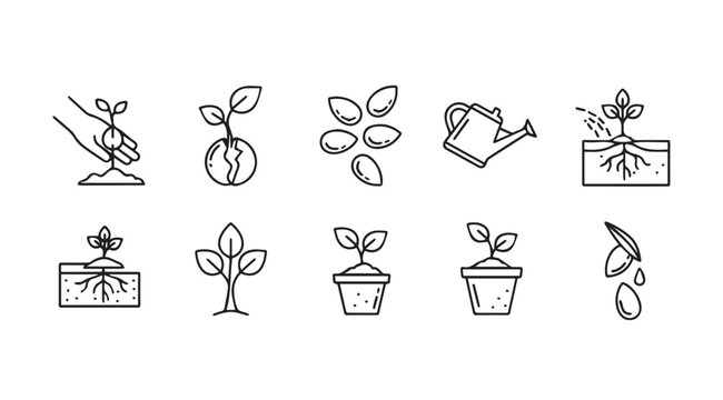 Set of hand-drawn seedling growth icons depicting planting watering and plant development stages vector