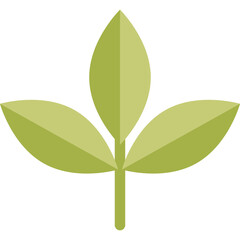 Stylized Green Leaf Vector Graphic With Transparent Background And Simple Design Suitable For Eco Friendly Concepts
