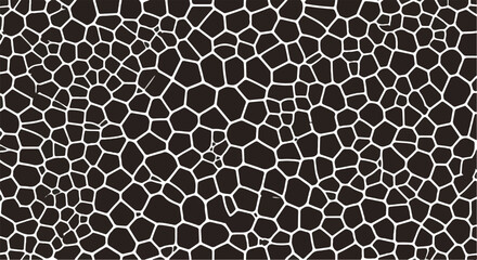 An abstract geometric pattern with a black and white high contrast creates a visually striking and thought-provoking composition.