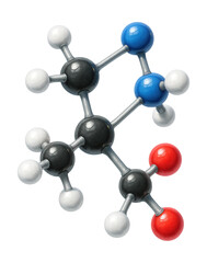 Branched-chain amino acid molecule with unique side group structures.