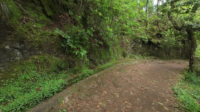 POV levada trail through green forest with moss-covered wall