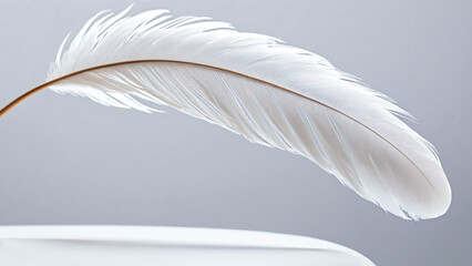 Fototapeta premium Single white feather symbolizing calm and peace with a subtle curve and natural soft lighting on a grey gradient