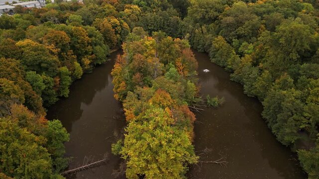 Aerial tilt-down drone shot of a serene forest lake surrounded by dense autumn trees in Germany. Vibrant fall colors reflecting on calm water, peaceful nature and travel landscape background.