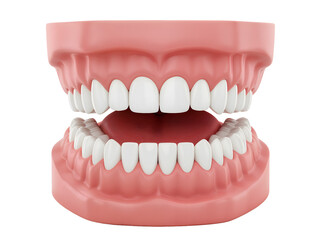 Obraz premium Open mouth model showing perfect white teeth transparent background png