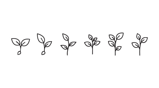 Delicate hand drawn sprouts seedlings growing plant life stages isolated line art vector