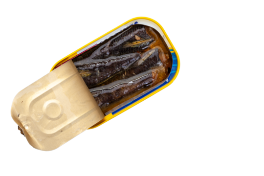 single can of fish, opened with sardines inside