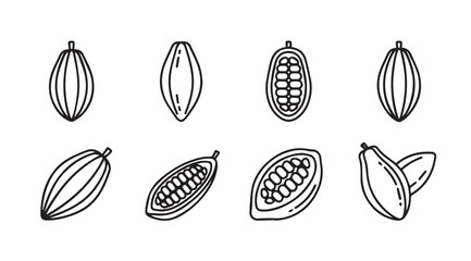 Set of hand drawn cacao pods and beans organic chocolate ingredient food art collection vector