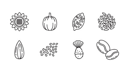 Collection of seeds and nuts hand drawn style for healthy eating and natural ingredients vector