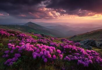 Obraz premium Scenic Mountain Landscape with Pink Blooming Flowers Under a Dramatic Sky at Sunset