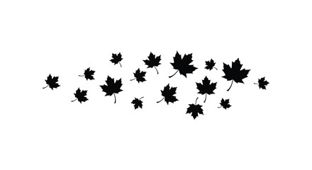 A scattering of black maple leaf silhouettes with textured edges against a white background silhouette