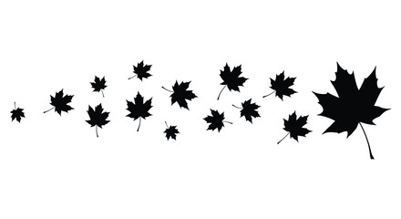 A flowing cascade of black maple leaves in silhouette against a white background suggesting autumn wind and movement silhouette