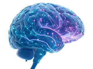Human brain with glowing nodes and connections representing neural networks for technology