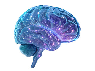 Human brain with glowing circuit patterns for medical technology presentation background use