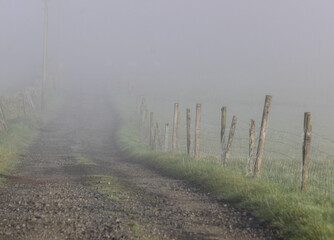 A fence by a farm track disappears into the fog