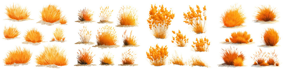 Warm Orange Grass Clumps in Loose Arrangements on a Simple Background