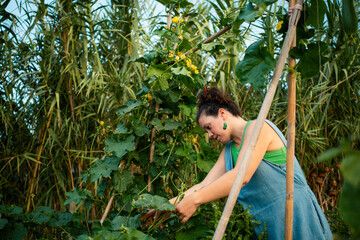 A woman carefully works in her garden, surrounded by tall plants and greenery. The sunlight casts a...