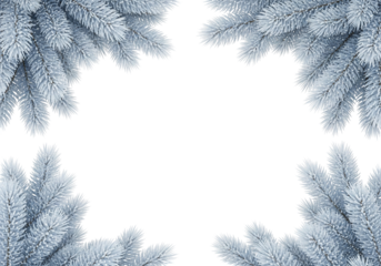 Christmas Frame Border Made Of Snowy Blue Fir Branches Isolated On White Background With Copy Space