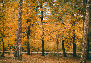 Extremely beautiful nature