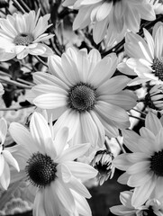 Very beautiful flowers