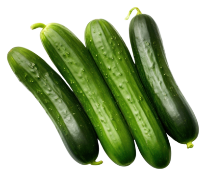 PNG Big cucumber group vegetable zucchini squash.
